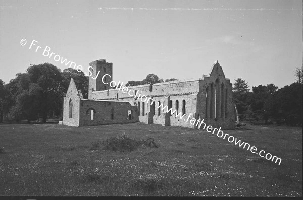 ARDFERT FRIARY SCENES